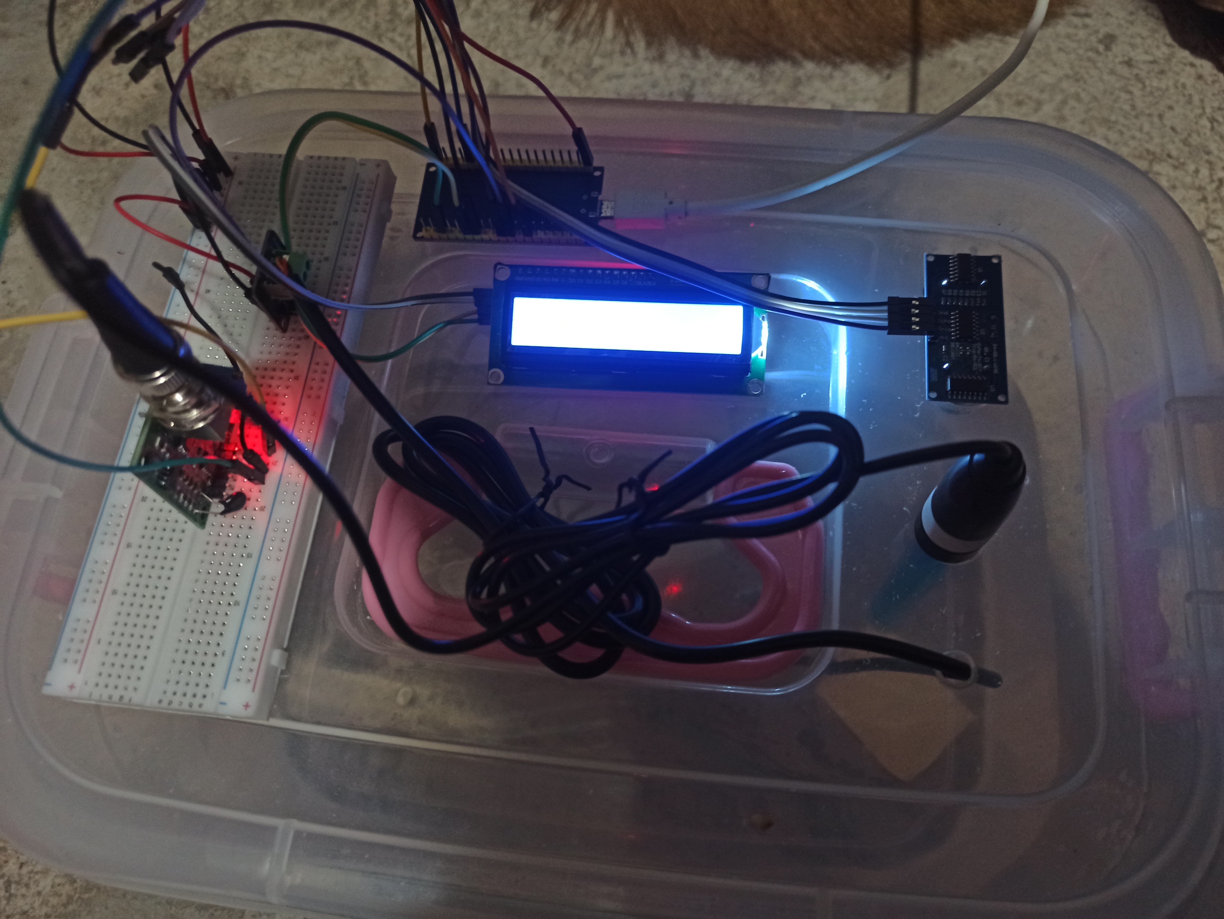 Project 3 Image 5